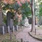 japan pictures
