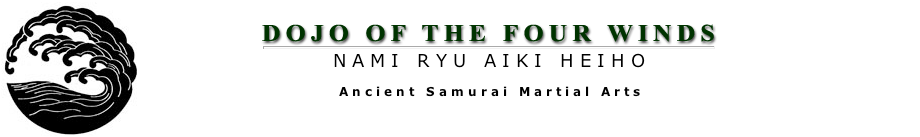 Namiryu.com